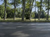 a paved road and some trees on a sunny day next to the grass and the park