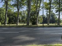 a paved road and some trees on a sunny day next to the grass and the park