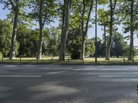 a paved road and some trees on a sunny day next to the grass and the park