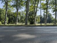 a paved road and some trees on a sunny day next to the grass and the park