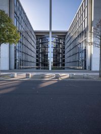 Berlin Road: Asphalt, Shadow, and Reflection