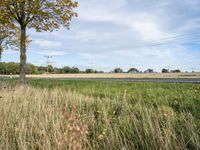 Berlin Road in Autumn Landscape