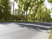 a street view in the daytime with no cars on it and trees on both sides