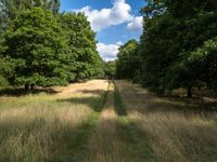 a long road leads through the middle of a grassy field with trees on either side