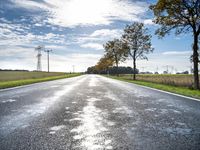 Berlin Road Landscape in Autumn