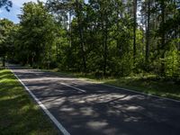 Berlin Road Landscape in Daytime