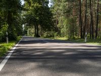 Berlin Road Landscape: Forest, Grass, Trees 001