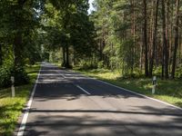 Berlin Road Landscape with Forest, Grass and Trees 003