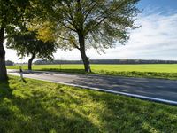 Berlin Road: Rural Landscape in Autumn