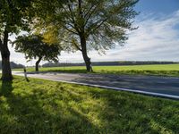 Berlin Road: Rural Landscape in Autumn