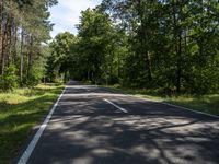 a long empty road leading through the forest in a summer afternoon time landscape of trees and road