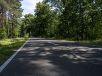 a long empty road leading through the forest in a summer afternoon time landscape of trees and road