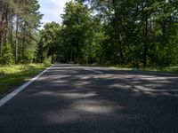 a long empty road leading through the forest in a summer afternoon time landscape of trees and road