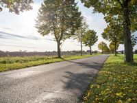 Berlin Road Surrounded by Lush Vegetation