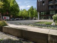 the sidewalk next to the tree is lined with plants and grass, and it's paving on a brick road