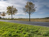 a field with grass and tree by road at twilight time in front of windmills and blue sky