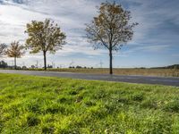 a field with grass and tree by road at twilight time in front of windmills and blue sky