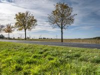 a field with grass and tree by road at twilight time in front of windmills and blue sky