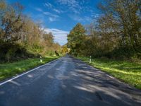 a view of a straight road with trees on both sides and a blue sky behind