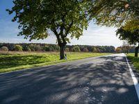 a street lined with trees, grass and trees near the edge of a road with a man running