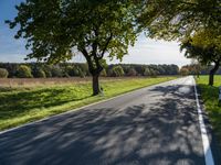 a street lined with trees, grass and trees near the edge of a road with a man running