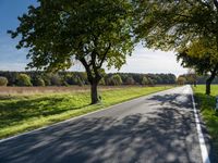 a street lined with trees, grass and trees near the edge of a road with a man running