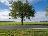 Scenic Road in Berlin, Germany