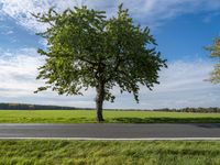 Scenic Road in Berlin, Germany