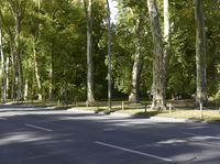 Berlin Scenic Road Autumn Landscape