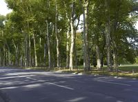 Berlin Scenic Road Autumn Landscape