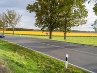 Berlin Scenic Road with Green Grass, Trees, and Autumn