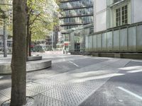 a tree sits in front of an empty plaza next to a tall building with some trees