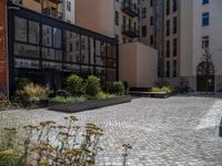 several plants sit in decorative concrete planters along the sidewalk of a building that is very modern