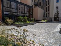 several plants sit in decorative concrete planters along the sidewalk of a building that is very modern