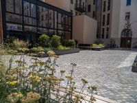 several plants sit in decorative concrete planters along the sidewalk of a building that is very modern