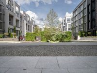 a residential complex with several apartments in the background and a couple of trees in the middle