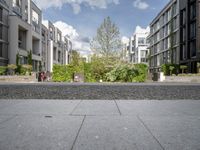 a residential complex with several apartments in the background and a couple of trees in the middle