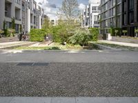 a residential complex with several apartments in the background and a couple of trees in the middle