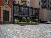 several plants sit in decorative concrete planters along the sidewalk of a building that is very modern