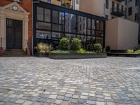 several plants sit in decorative concrete planters along the sidewalk of a building that is very modern
