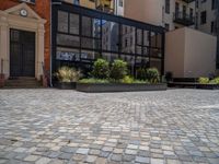 several plants sit in decorative concrete planters along the sidewalk of a building that is very modern