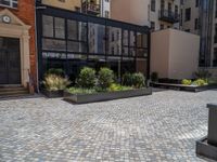 several plants sit in decorative concrete planters along the sidewalk of a building that is very modern