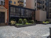 several plants sit in decorative concrete planters along the sidewalk of a building that is very modern