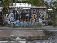 an empty wet asphalt area near a building covered in graffiti and green leaves a man walking across the street