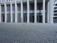 a dog walking in a courtyard with a big building behind it and a door behind the entrance