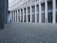 a dog walking in a courtyard with a big building behind it and a door behind the entrance