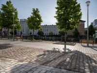 several trees are in a cobblestone patio with benches and a man walking by