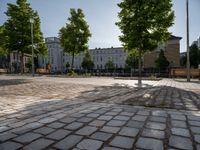 several trees are in a cobblestone patio with benches and a man walking by