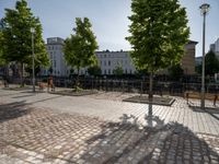 several trees are in a cobblestone patio with benches and a man walking by