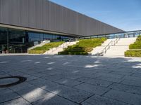 steps leading up to a building with large windows on each side and landscaping around them